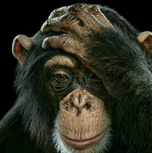 Meet your Posher, Adrian